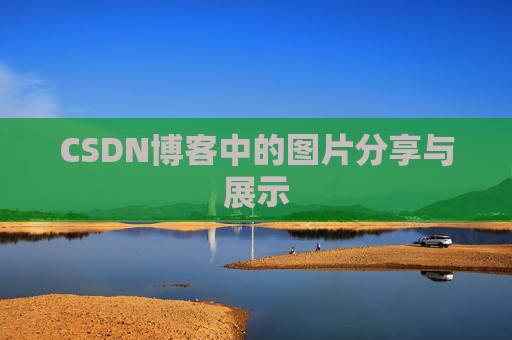 CSDN博客中的图片分享与展示